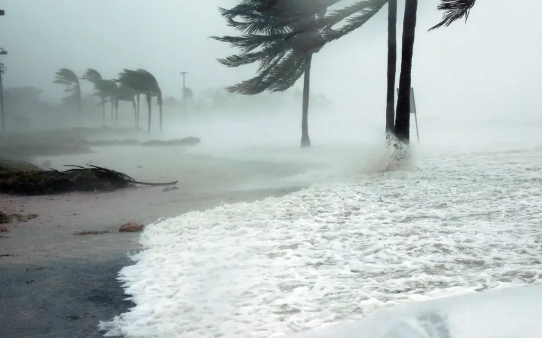 Protect Your Home with Professional Hurricane Shutter Installers in Wilmington, NC
