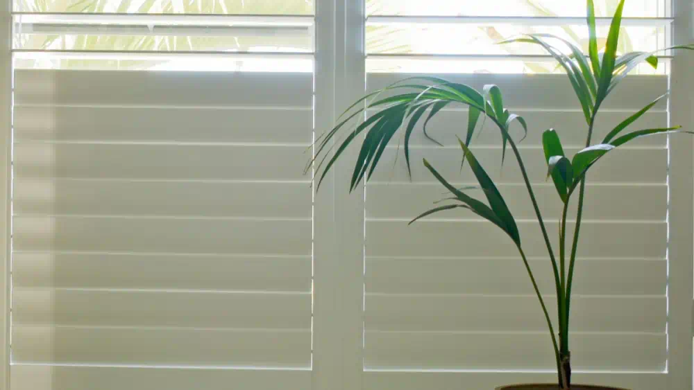 Window Treatment Ideas For The Whole House
