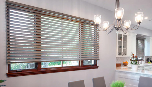 window privacy blinds